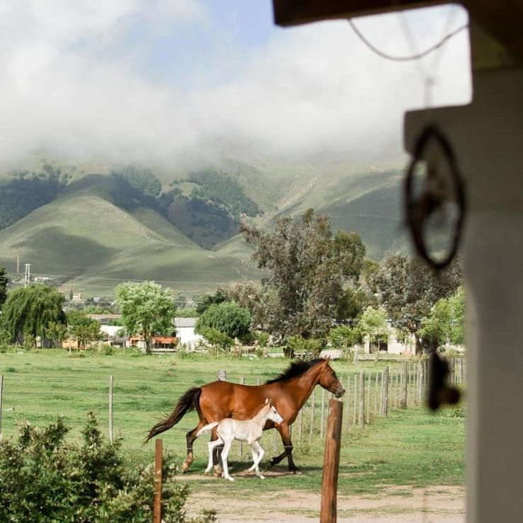 Entre Montanas Appartement Tafí del Valle Buitenkant foto